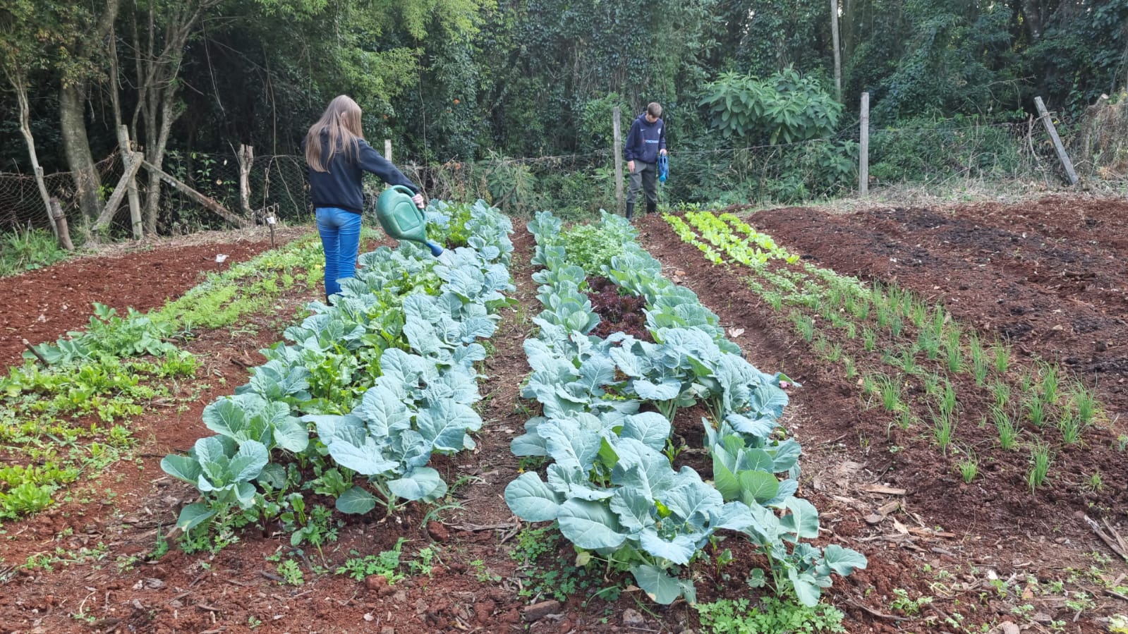 Programa Semeando trabalha em Três Passos as Hortas Escolares no Campo