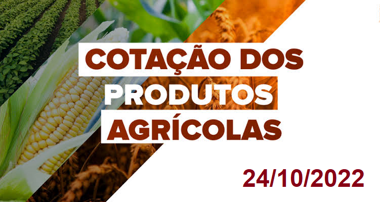 COTAÇÃO DOS PRODUTOS AGRÍCOLAS 24/10/22