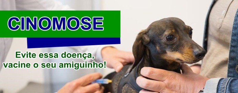 Secretaria de Meio Ambiente realiza vacinação de cães contra a Cinomose